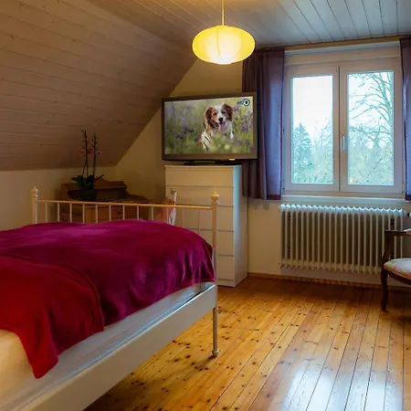 Daire S'krumme Gustels Hues *