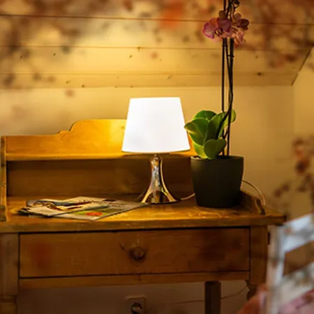 Daire S'krumme Gustels Hues Bahlingen (Emmendingen)